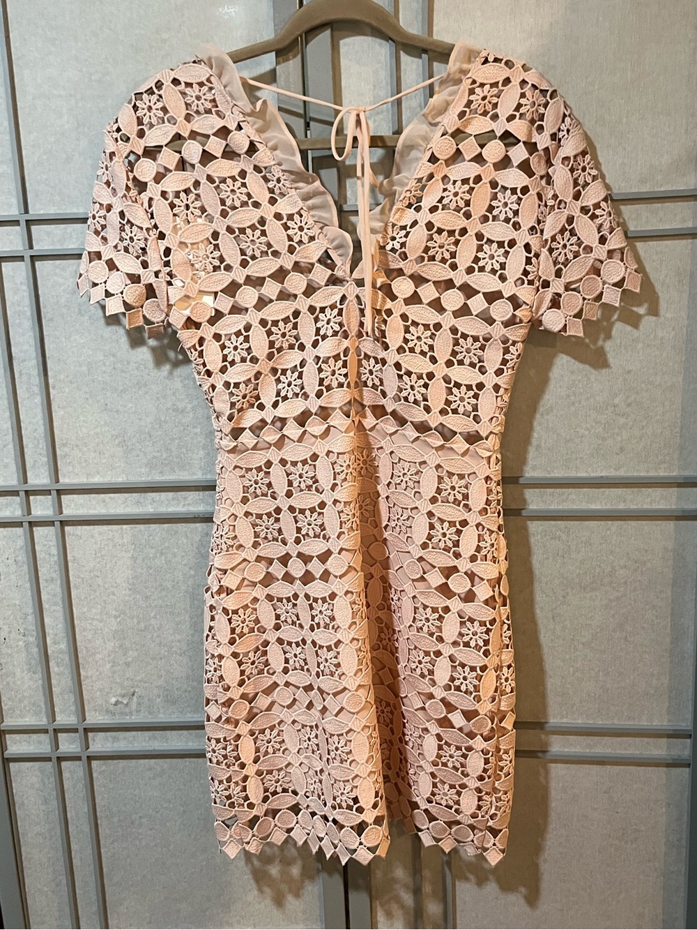 Sandro Blush Guipure Lace Mini Dress XS/S size Fr 1 - Picture 3 of 12
